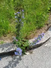 20250611_103101.webp