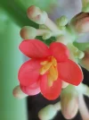 IMG_20250611_164142.webp