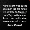 1749807538811.webp