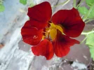 DSCN0080.webp