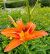 IMG_20250616_084348_HDR.webp