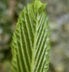 IMG_1923.webp
