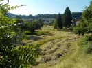 DSCN6808.webp