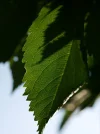 IMG_1970.webp