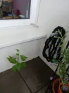 20250619_075530.webp