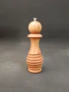 DSCN3737.webp