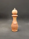 DSCN3739.webp
