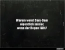 9966 dam.webp