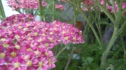 DSCN0020.webp
