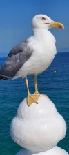 1000043634.webp