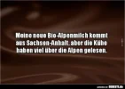 9654 bio.webp