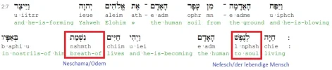 Genesi2_7Nesch.webp