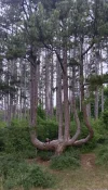 IMG-20250709-WA0007~2.webp