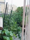 IMG_20250712_195913.webp