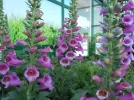 DSCN0028.webp