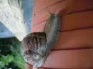 DSCN0108.webp