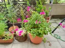 IMG_20250723_125416.webp