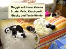Rasselbande_0286.webp