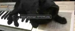 1753383206817.webp