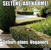 Geburt eines Veganers.webp