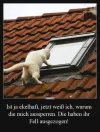 1753470937963.webp