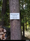 996b geschehen.webp