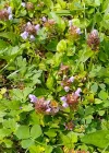 IMG_20250728_141910~2.webp