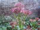 DSCN0056.webp