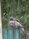 20250801_110525.webp