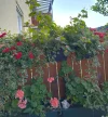 IMG_20250806_131813_HDR~2.webp