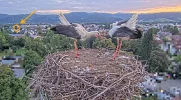 Kirchzarten_2025-08-07 06Uhr16-13 Ulla-und-Edgar-klappern_Frankie-kommt_bearb.webp