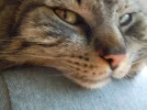 DSCN0082.webp