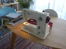 DSCN6840.webp
