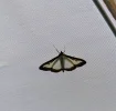IMG_20250812_131810~2.webp
