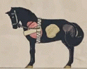 PferdeGalop.gif