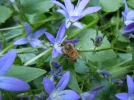 DSCN0012.webp
