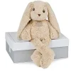 930  hasi.webp