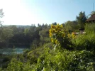 DSCN6845.webp