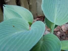 DSCN0099.webp