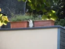 DSCN0155.webp