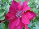 DSCN0039.webp