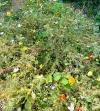 IMG_7528.webp