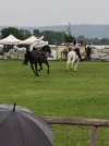 IMG-20250831-WA0001.webp