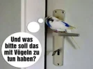 1000032558.webp