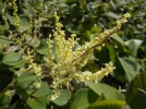 DSCN6860.webp