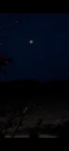IMG_8982.webp