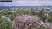 Frankies-Schlafplatz_Aug-u-Sept-2025_Kirchzarten-Feuerwehrturm.webp