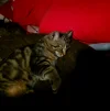 20250914_204120.webp