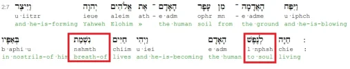 Genesi2_7B.webp