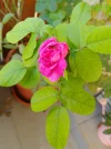 IMG_20250919_150310.webp